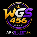 WGS 456 Game