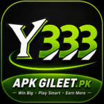 Y333 Game