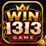 Win 1313