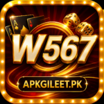 W567 Game