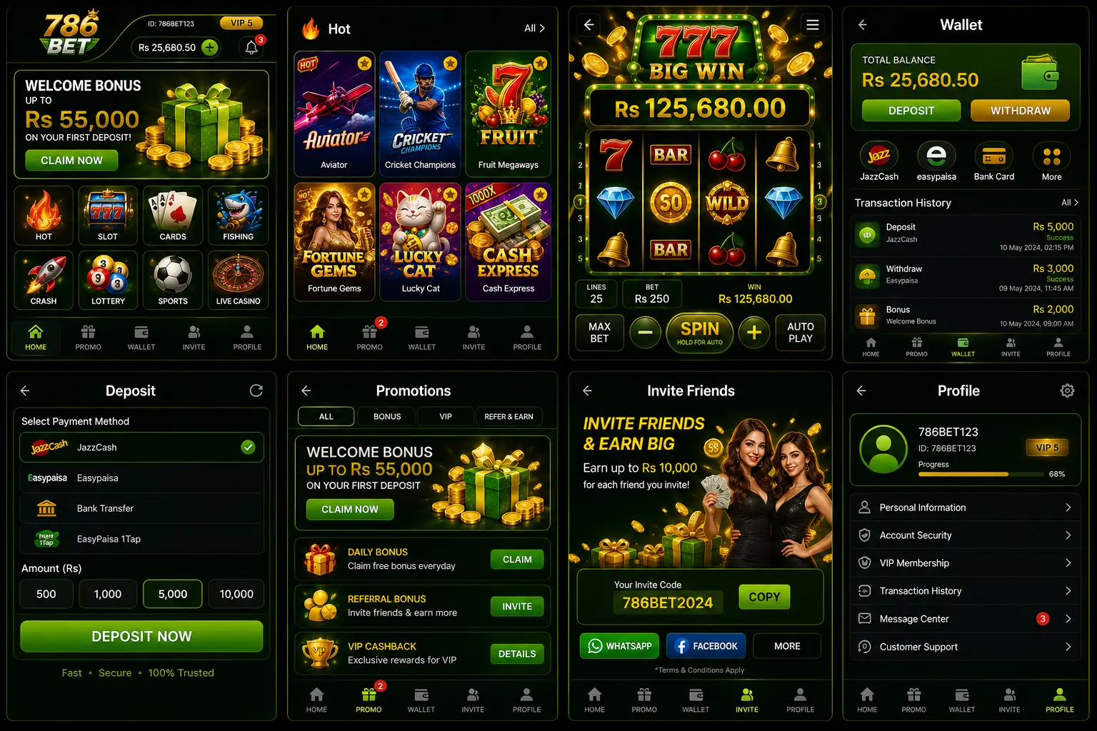 Supporting image for the 786 Bet Game guide
