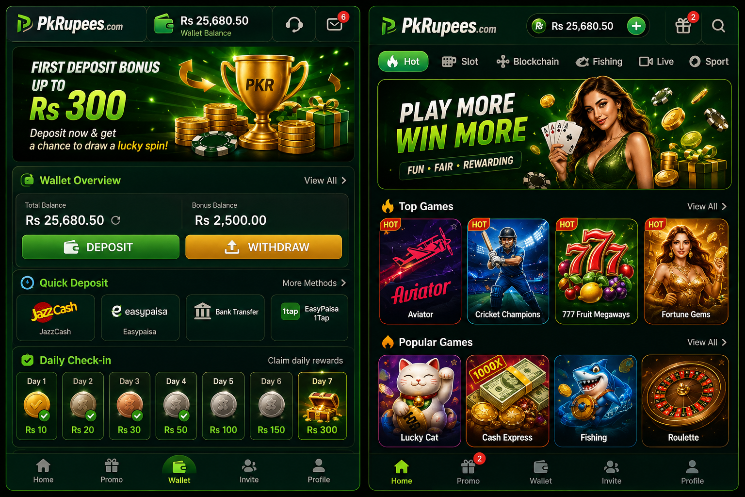 Supporting image for the pk rupees guide
